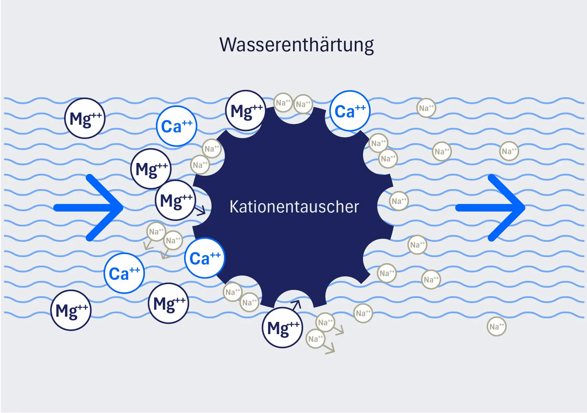 Funktionsweise Wasserenthärtung mit Kationenaustausch