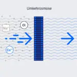 Diagramm Umkehrosmose-Filtrationsprozess