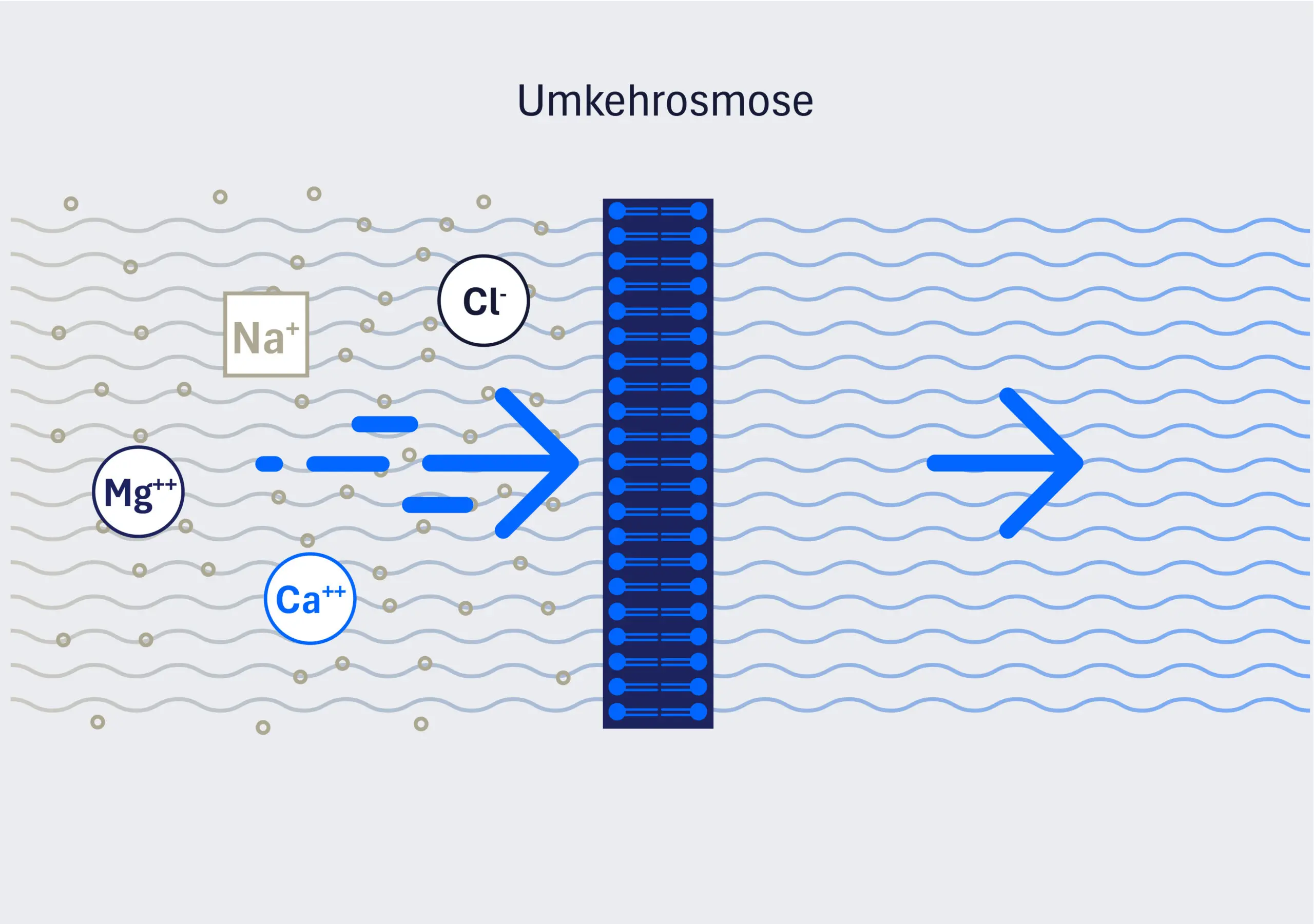 Diagramm Umkehrosmose-Filtrationsprozess